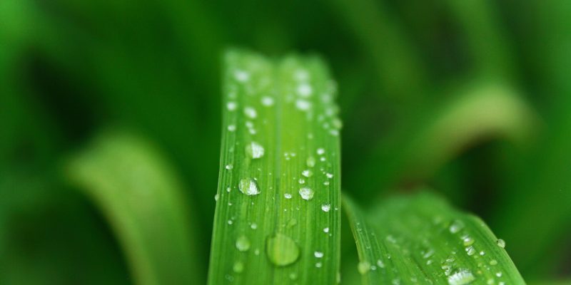 pexels-matthias-cooper-1167000